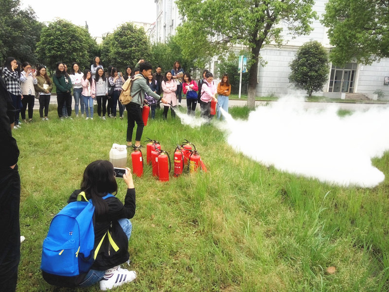 1493176337725558.jpg 1493176337725558.jpg